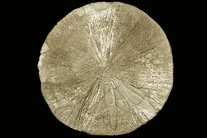 Large,, Pyrite Sun - Sparta, Illinois #91019